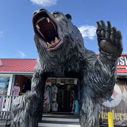 Maggies Gift Shop - Bear at the register is in this photo