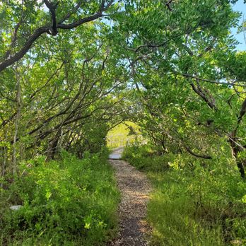 Little Hamaca Park - Parks Near Me