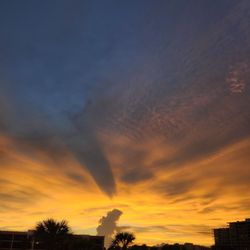 Toasted Monkey - Sunset view