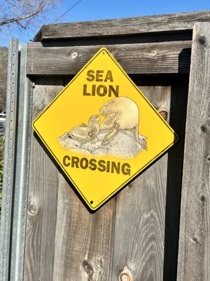 Pacific Marine Mammal Center by null