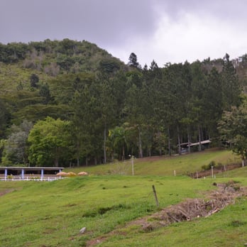 Hacienda Maribo - this is the restaurant - Argentine Near Me - Adjuntas, Puerto Rico Hacienda Maribo - this is the restaurant - Argentine Near Me - Adjuntas, Puerto Rico
