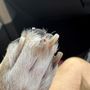 Photo of Muddy Paws Pet Spa