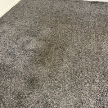 Stanley Steemer - Carpet Cleaning Near Me - Vestal, New York Stanley Steemer - Carpet Cleaning Near Me - Vestal, New York