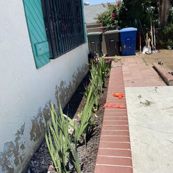 Eder Tree Service and Lawn Maintenance - Tree Services Near Me - Riverside, California Eder Tree Service and Lawn Maintenance - Tree Services Near Me - Riverside, California