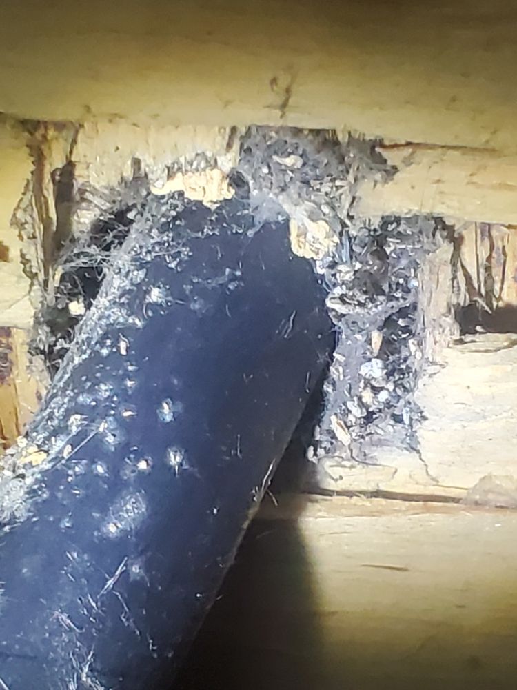 Slide of Mike's Friendly House Doctor Service