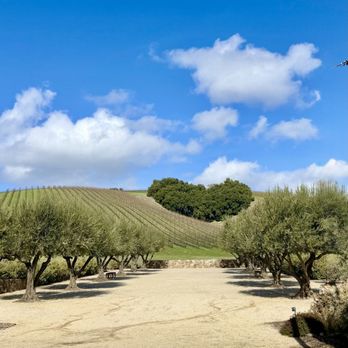 Niner Wine Estates - Beautiful grounds. - Wine Tasting Room Near Me - Paso Robles, California Niner Wine Estates - Beautiful grounds. - Wine Tasting Room Near Me - Paso Robles, California