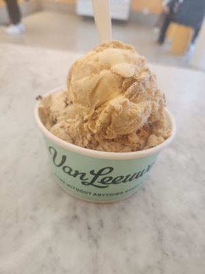Van Leeuwen Ice Cream by null