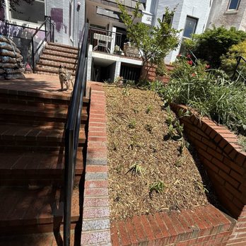 Bona Terra - Newly planted beds - Landscaping Near Me - Washington, DC, District of Columbia Bona Terra - Newly planted beds - Landscaping Near Me - Washington, DC, District of Columbia