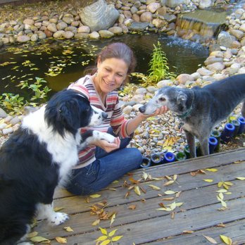 KK9 Dog Training - Kay, owner/trainer - Pet Training Near Me - Loveland, Colorado KK9 Dog Training - Kay, owner/trainer - Pet Training Near Me - Loveland, Colorado