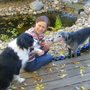 Photo of KK9 Dog Training