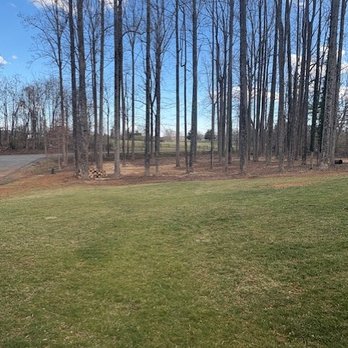 Stringfellow's Tree Service - Tree Services Near Me - Amissville, Virginia