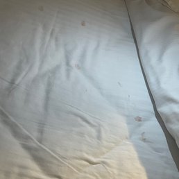 Dirty bedding