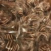 Chocolati Handmade Chocolates gift card
