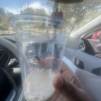 Farmer's Table - A fly in my drink! - New American Near Me - La Mesa, California Farmer's Table - A fly in my drink! - New American Near Me - La Mesa, California