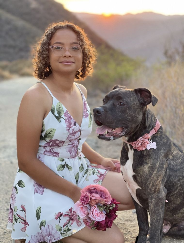 Teaching Paws - pet boarding facility in Mesa, AZ