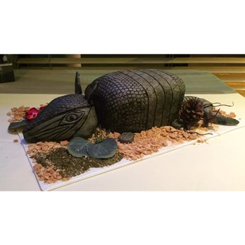 Casey’s Kitchen - Armadillo Grooms Cake - Cupcakes Near Me Casey’s Kitchen - Armadillo Grooms Cake - Cupcakes Near Me