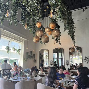 Ammatoli - Mediterranean Near Me - Long Beach, California
