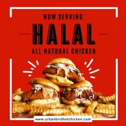 Urban Bird Hot Chicken