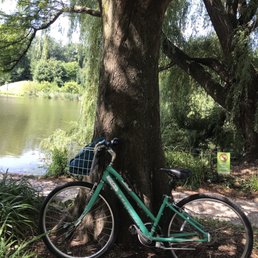 Specialized small (5'4" height) hybrid Specialized small (5'4" height) hybrid