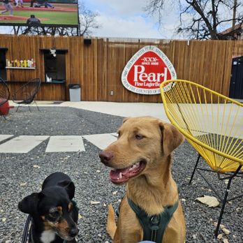 Hops & Hounds - Dog Parks Near Me - San Antonio, Texas