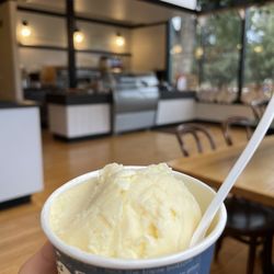 Stellina Pizza Cafe - Lemon Gelato