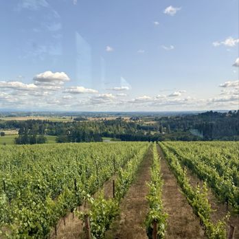 Furioso Vineyards - Wine Tasting Room Near Me - Dundee, Oregon