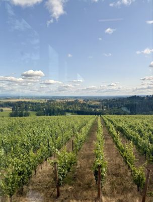 Furioso Vineyards by null