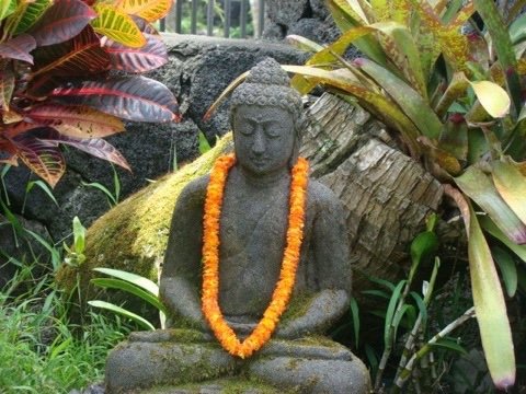 The Bali House & Cottage at Kehena Beach Hawaii by null