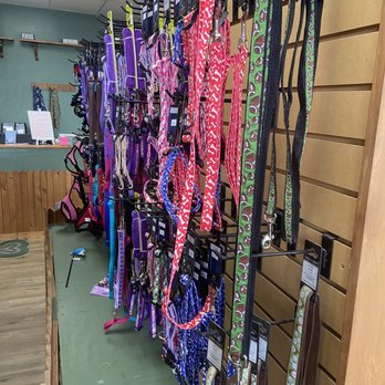Le Paws - Swag - Pet Groomers Near Me - San Antonio, Texas