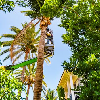Perfect Cut Landscaping - Landscaping Near Me - Boynton Beach, Florida Perfect Cut Landscaping - Landscaping Near Me - Boynton Beach, Florida