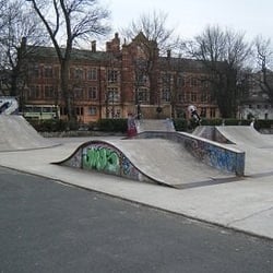 The level Skate park