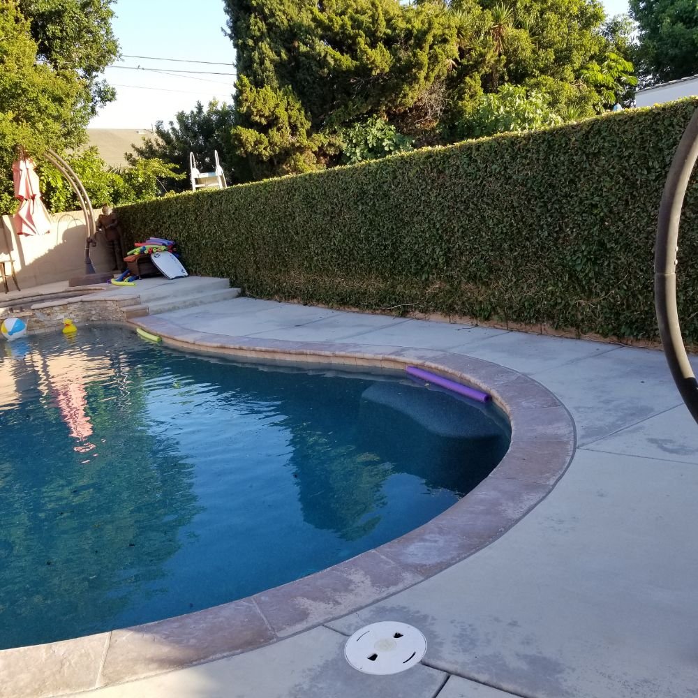EXCELLENCE LANDSCAPING AND MAINTENANCE 67 Photos Downey, California