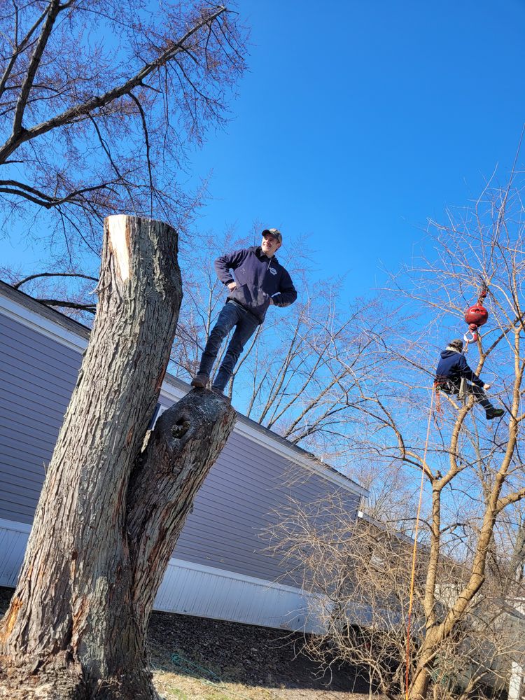 OUT ON A LIMB TREE SERVICE - Updated February 2025 - Monroe, Michigan ...