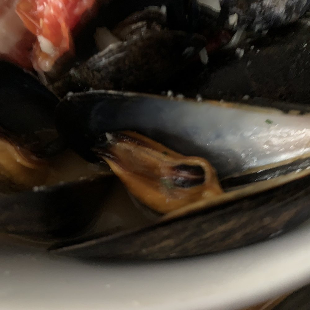 Breakwater - Mussels - American Near Me - Stonington, Connecticut Breakwater - Mussels - American Near Me - Stonington, Connecticut