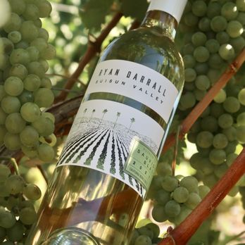 Ryan Darrall Wine - Wine Tasting Room Near Me - Fairfield , California Ryan Darrall Wine - Wine Tasting Room Near Me - Fairfield , California