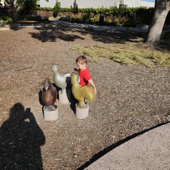 Wyandotte Park - Chickens - Parks Near Me - Mountain View, California Wyandotte Park - Chickens - Parks Near Me - Mountain View, California