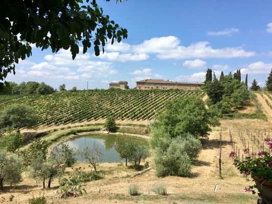 Querciabella · Società Agricola Querciabella SpA by null