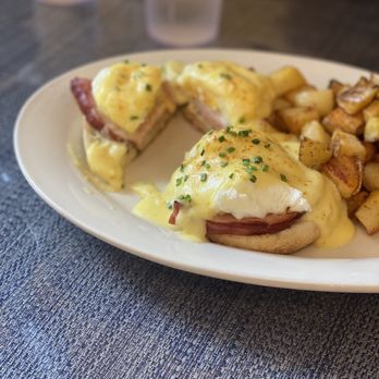 The Chocolate Gallery Cafe - Eggs Benedict - New American Near Me - Warren, Michigan