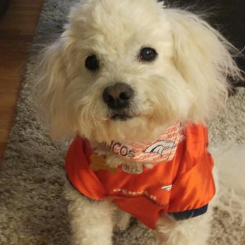 Pet Clips - Pet Groomers Near Me - Aurora, Colorado Pet Clips - Pet Groomers Near Me - Aurora, Colorado