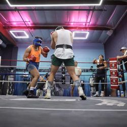 Brickhouse Boxing Club