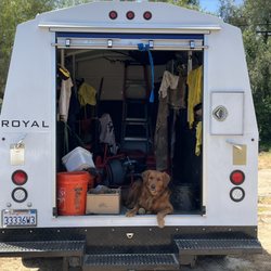 Sheldon Plumbing - Work dog. Pet Friendly