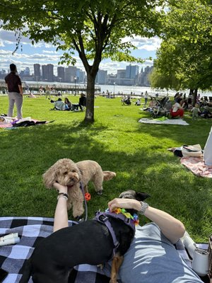 Gantry Plaza State Park by null