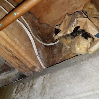 Elite Home Inspections - Severe water leak caused a lot of damage. - Home Inspectors Near Me - Louisville, Kentucky Elite Home Inspections - Severe water leak caused a lot of damage. - Home Inspectors Near Me - Louisville, Kentucky
