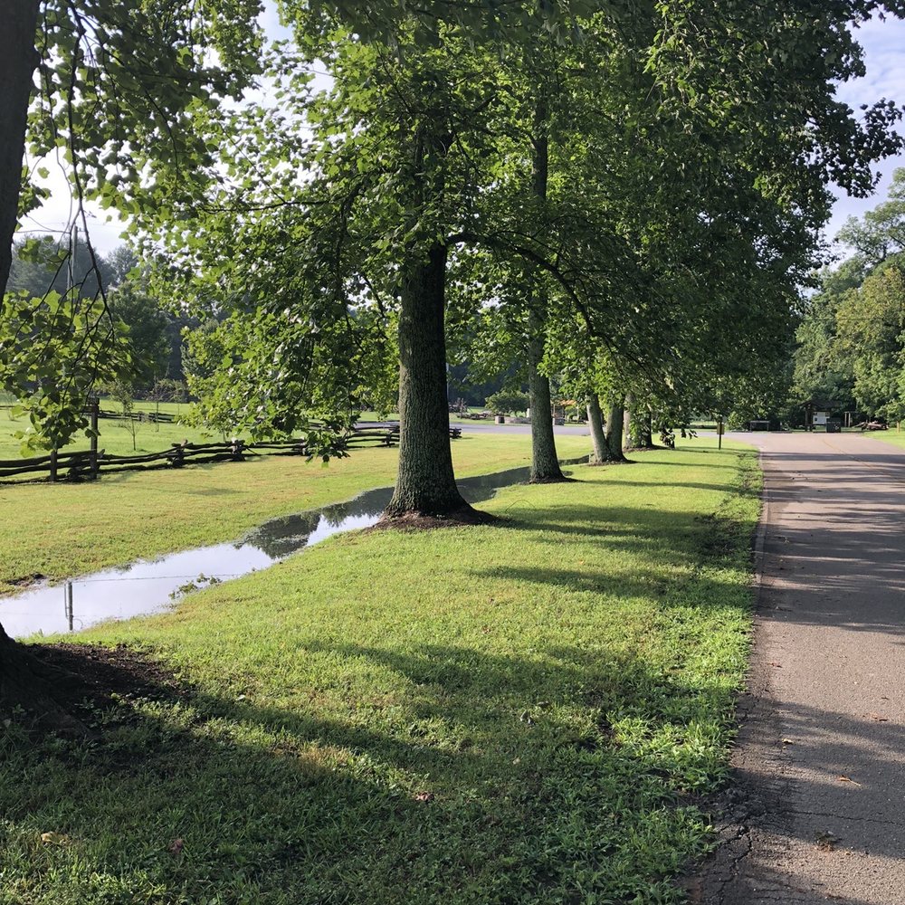 David Crockett Birthplace State Park - Tree lined lane - Campgrounds Near Me - Limestone, Tennessee