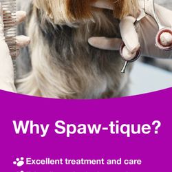 Spaw-tique Luxury Dog Grooming