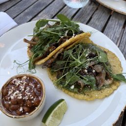 Mushroom Tacos
