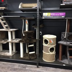 Cat trees!