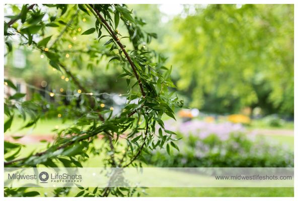 The Outing Lodge by null