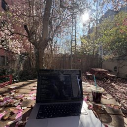 Best office in the world.