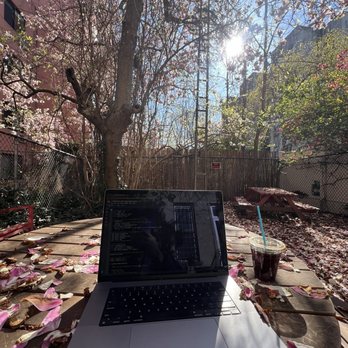 Odd Fox Coffee - Best office in the world. - Coffee & Tea Near Me - Brooklyn, New York